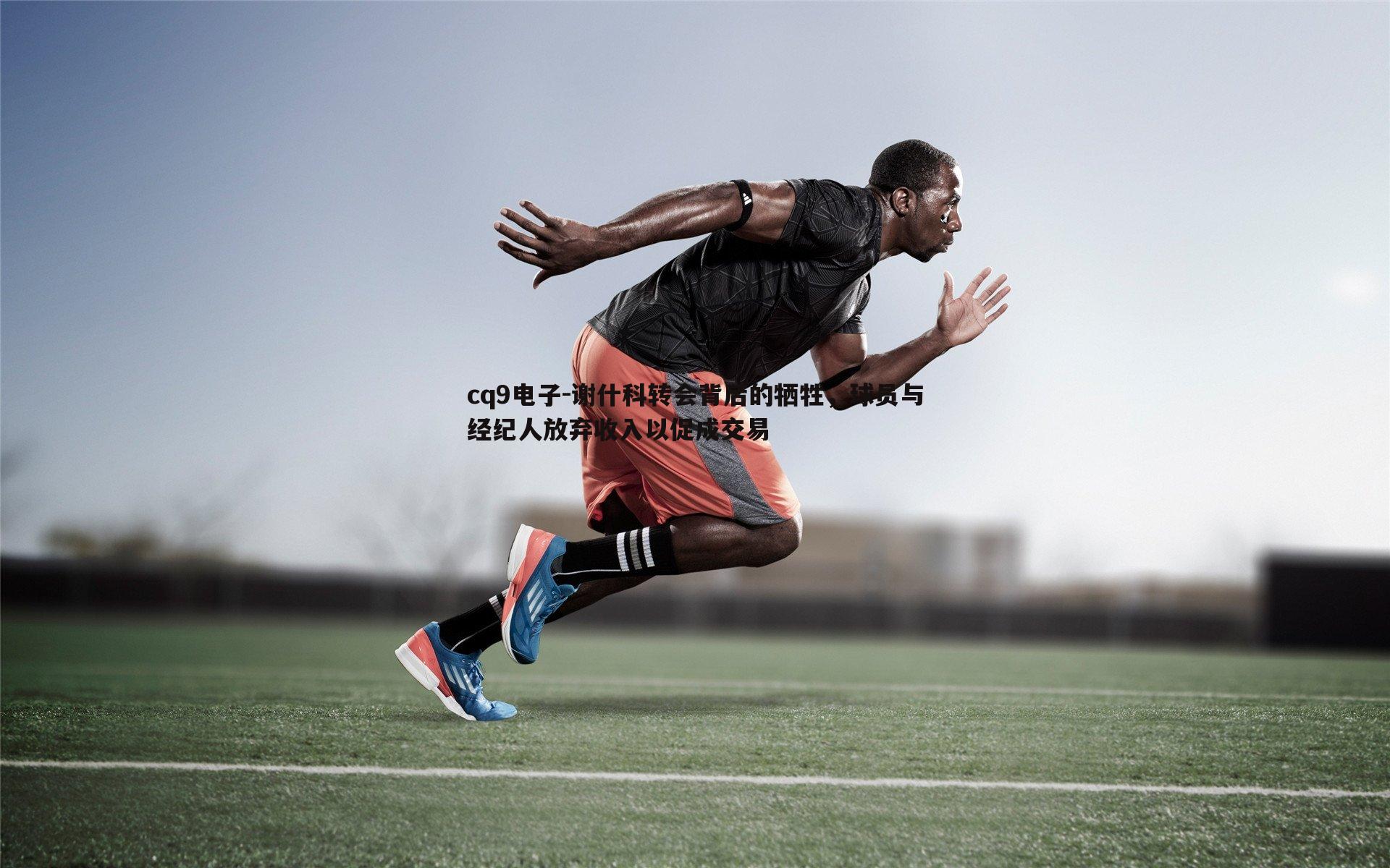 谢什科转会背后的牺牲,球员与经纪人放弃收入以促成交易