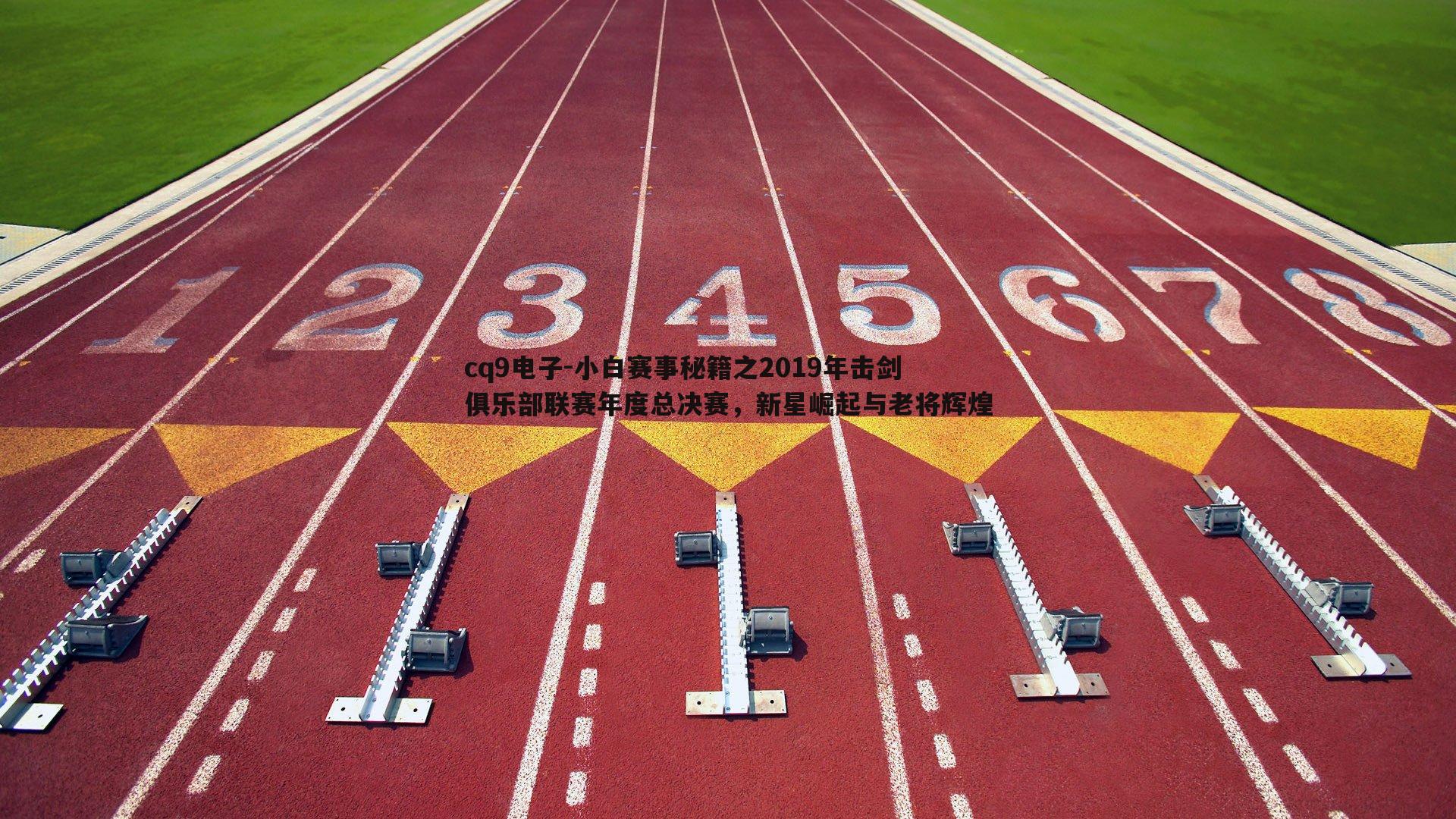 小白赛事秘籍之2019年击剑俱乐部联赛年度总决赛,新星崛起与老将辉煌